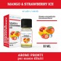 EnjoySvapo - MANGO E STRAWBERRY ICE aroma 10ml