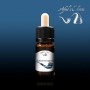 Azhad's Elixirs - NOTTURNO INGLESE aroma 10ml