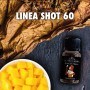 SHOT60 - La Tabaccheria EXTRA DRY 4POD - Flapper Juice Tobacco - MANGO DELLE INDIE - aroma 20+40 in flacone da 20ml