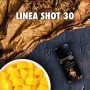 MINI SHOT30 - La Tabaccheria EXTRA DRY 4POD - Flapper Juice - MANGO DELLE INDIE - aroma 10+20 in flacone da 10ml