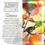 SHOT - Azhad's Elixirs - Flavors - SIRACUSA - aroma 20+40 in flacone da 60ml