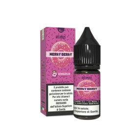 Dreamods - Kingdon - MERRY BERRY - aroma 10ml