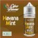 MINI SHOT - Cyber Flavour - HAVANA MINT - aroma 10+10 in flacone da 30ml