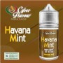 MINI SHOT - Cyber Flavour - HAVANA MINT - aroma 10+10 in flacone da 30ml