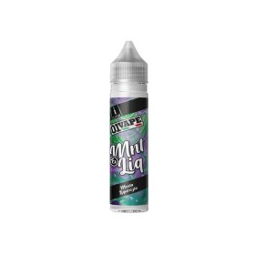 SHOT - 01 Vape - MNT & LIQ - aroma 20+40 in flacone da 60ml