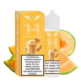 SHOT - Holy Vape - Classic - CALEB - aroma 20+40 in flacone da 60ml