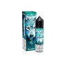 SHOT - Flavour Art - Alaska - MENTA - aroma 20+40 in flacone da 60ml