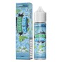 SHOT - SvapoNext - Premium Edition - MENTA ICE - aroma 20+40 in flacone da 60ml