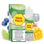 SHOT - Holy Vape - Holy Flava - MANGO LIME E MIRTILLO ICE - aroma 20+40 in flacone da 60ml
