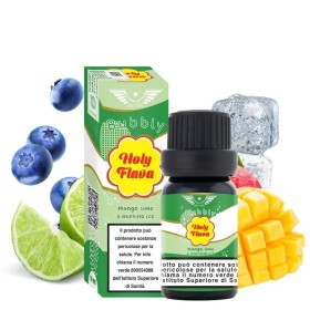 Holy Vape - Holy Flava - MANGO LIME E MIRTILLO ICE - aroma 10ml