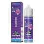 SHOT - SvapoNext - The Frozen Brain - BLUEBERRY - aroma 20+40 in flacone da 60ml