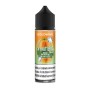 SHOT - Goldwave - La Frutteria Gold - MELONE CANTALUPO ICE - aroma 20+40 in flacone da 60ml