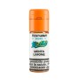 Flavour Art - 10in100 - MENTA LIMONE aroma 10ml