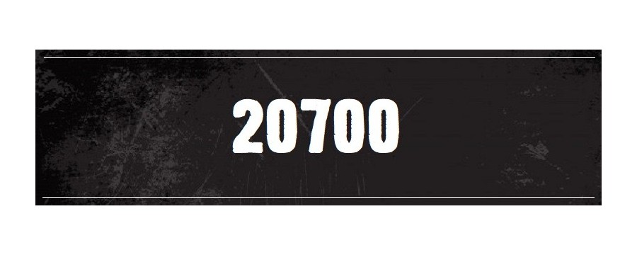 BATTERIE 20700