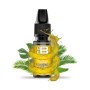 Meta keyword-TROPICAL aroma ToB