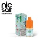 Vaporart - Classici - MENTA 10mg/ml - Liquido pronto ai sali di nicotina 10ml