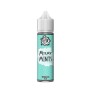 SHOT - Moonshine - Cremosi - MILKY MINTS - aroma 20+40 in flacone da 60ml